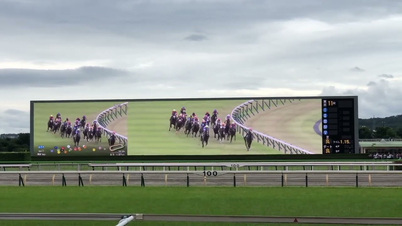 2024年　G3エプソムカップ　レーベンスティール