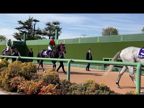 中山グランドジャンプグランプリロード映像