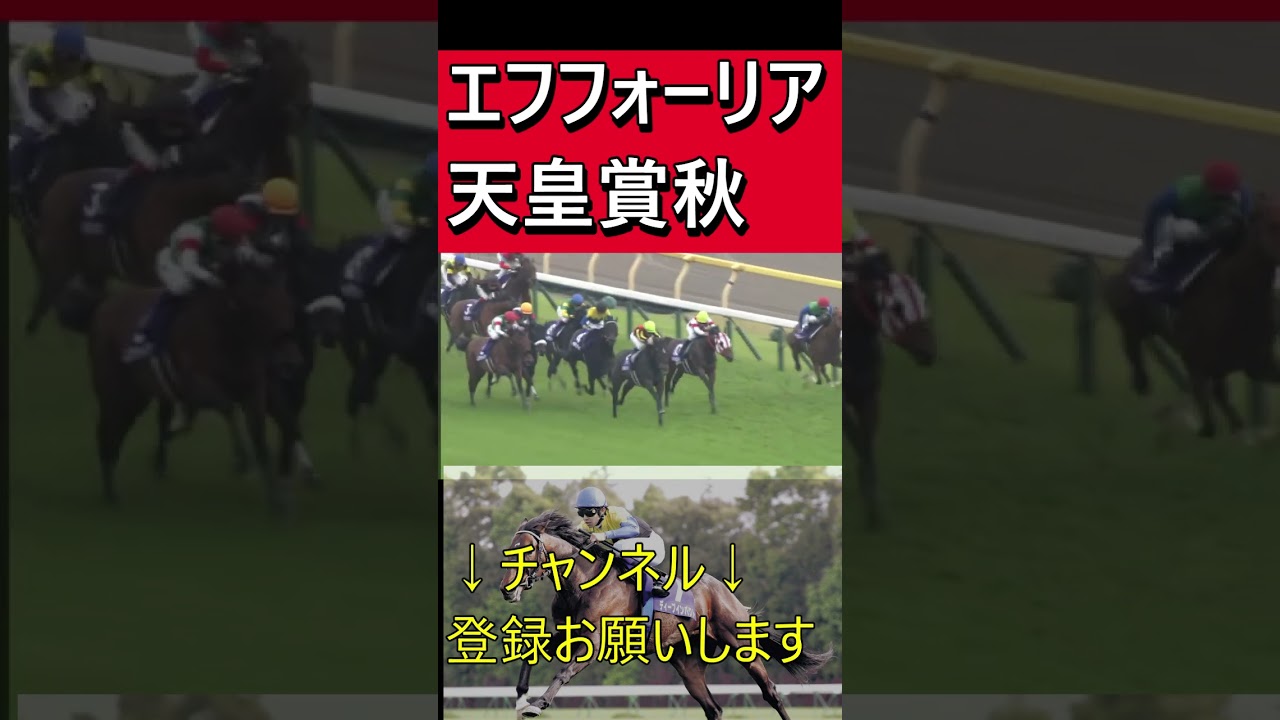 エフフォーリア天皇賞秋#shorts #競馬名シーン#競馬名実況#天皇賞秋#横山武史