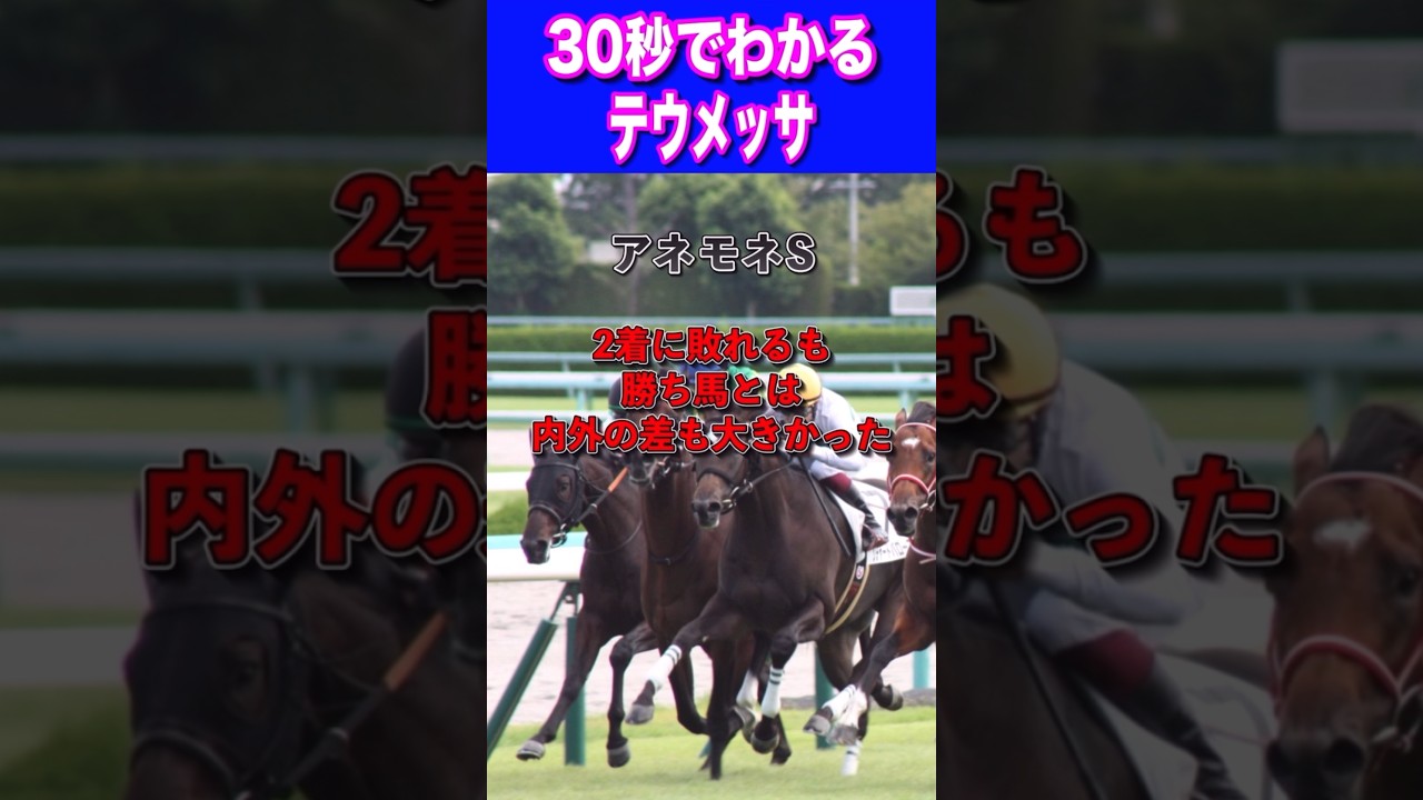 【桜花賞2024】30秒でわかるテウメッサ