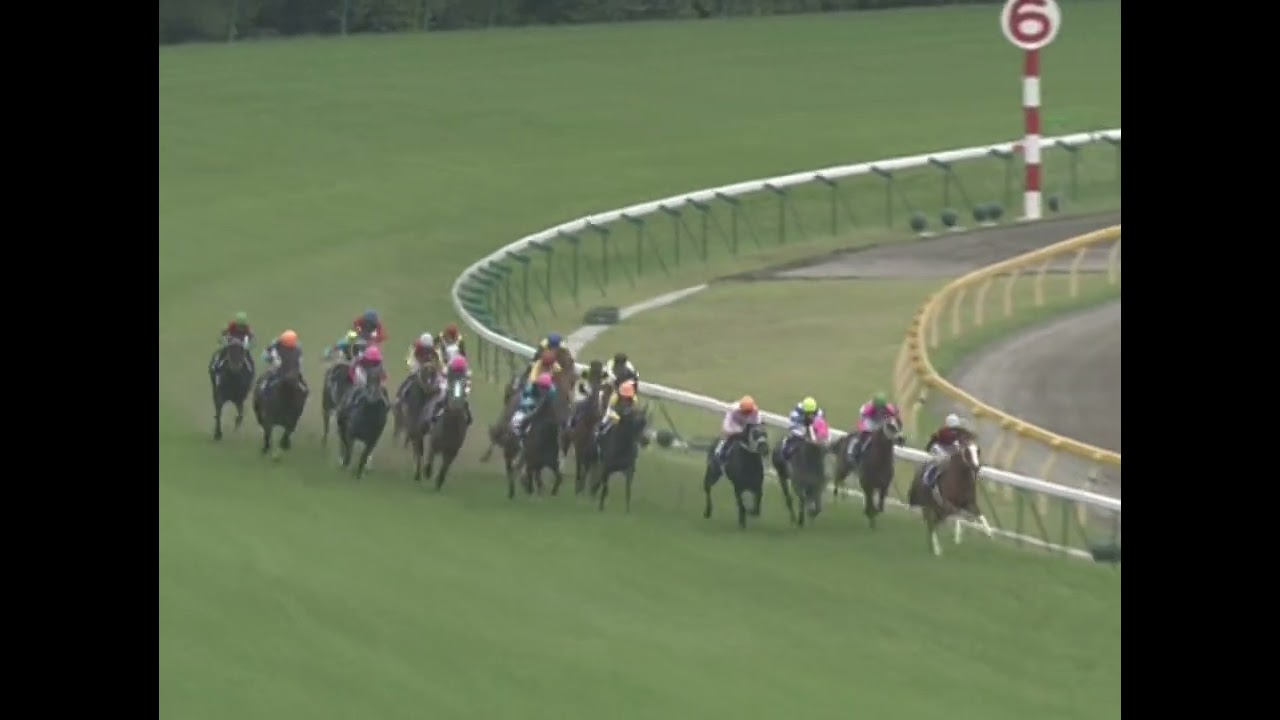 ラインクラフト 2005年 第10回NHKマイルカップ(GI) (優勝馬：ラインクラフト)