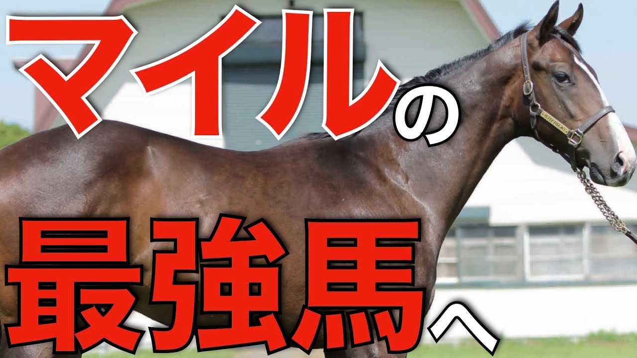 日本の最強マイラー誕生か？NHKマイルカップを血統回顧。