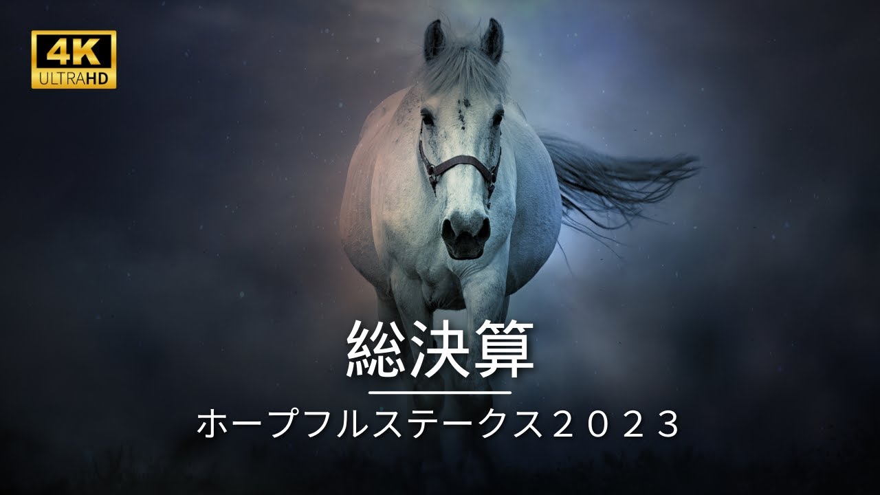 🎯 ホープフルステークス  | DATAからの考察✨