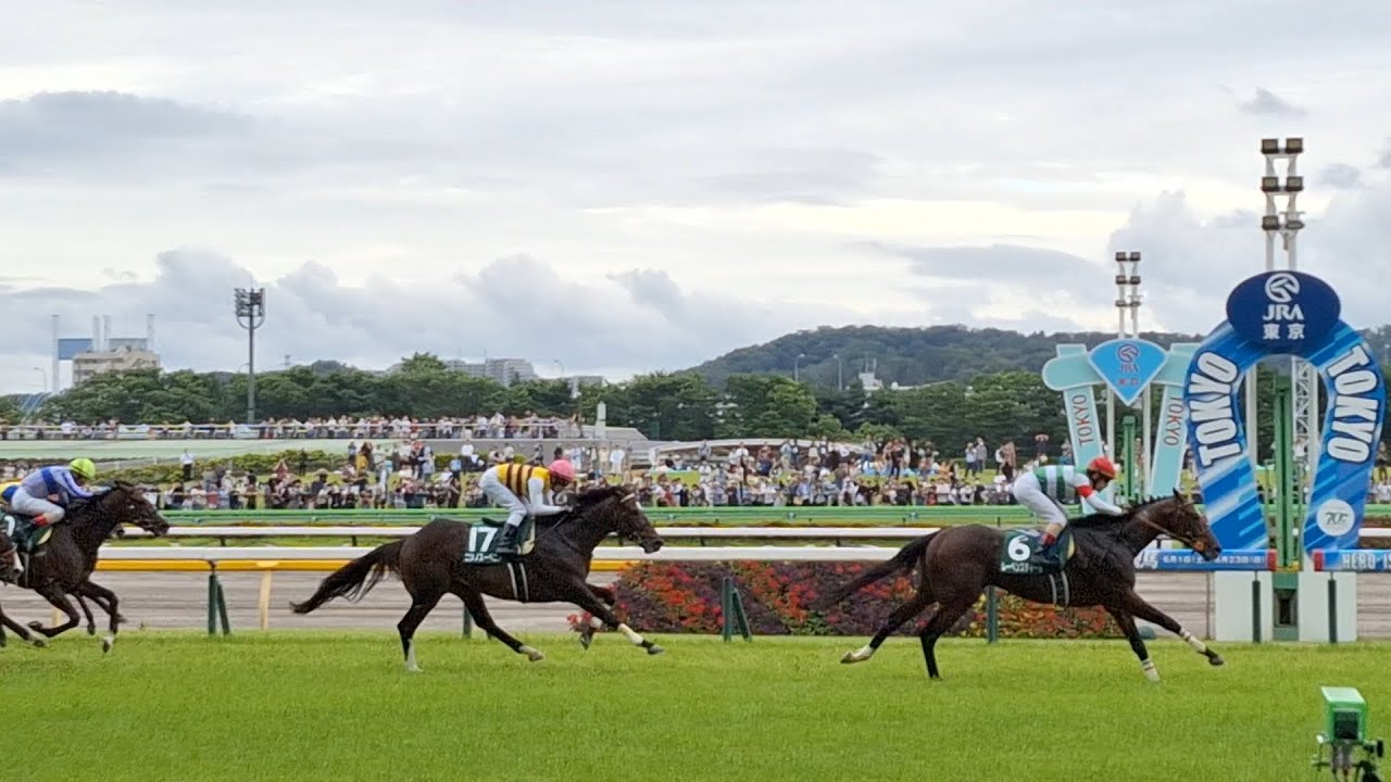 2024/6/9 東京11R エプソムカップ 1着レーベンスティール 2着ニシノスーベニア 3着シルトホルン