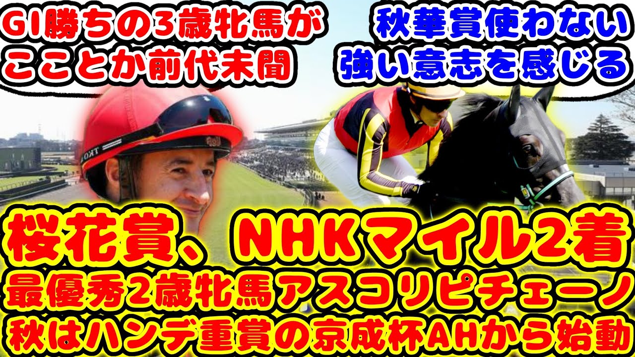 【競馬】昨年の最優秀2歳牝馬、NHKマイルC2着アスコリピチェーノ 秋はハンデ重賞の京成杯AHから始動が話題に！【競馬の反応集】