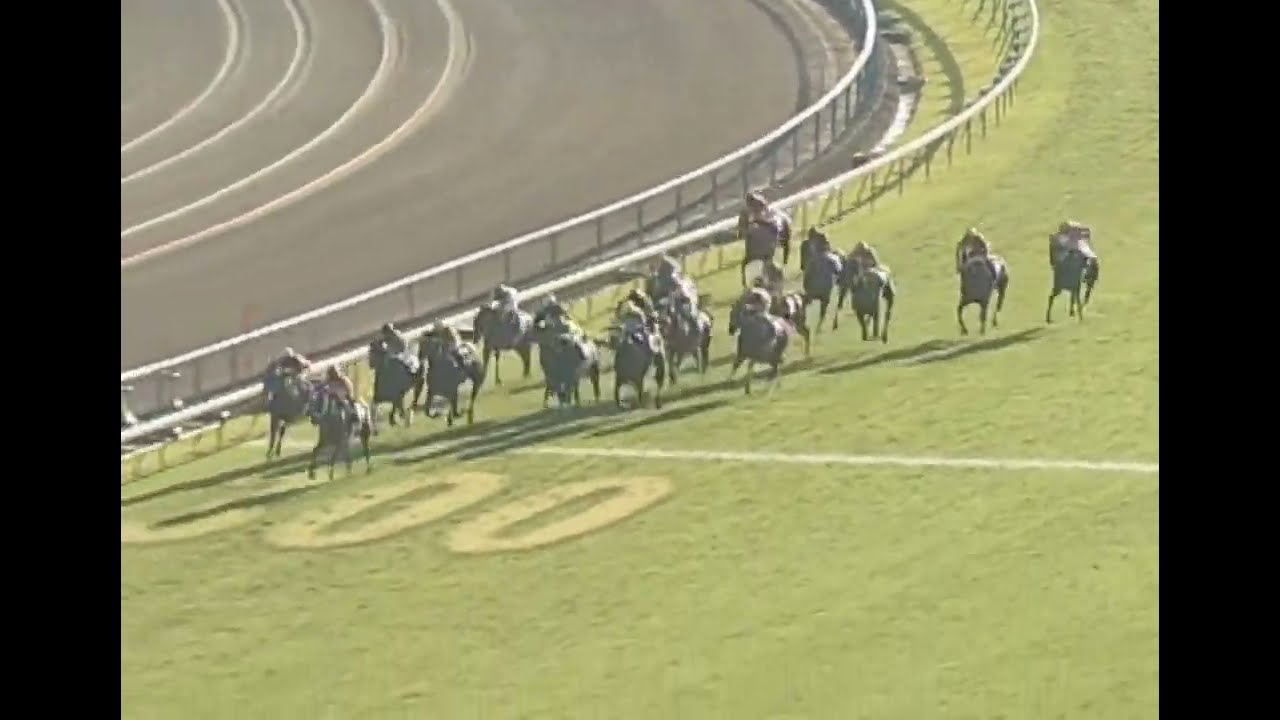 ラインクラフト 2005年 第10回秋華賞(GI) (優勝馬：エアメサイア) (実況：ラジオNIKKEI)