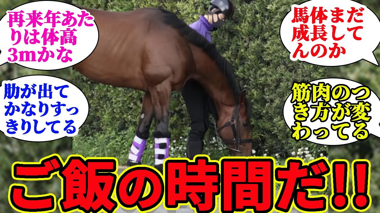 【ドウデュース】宝塚記念を前に食欲も絶好調！？に対するみんなの反応集