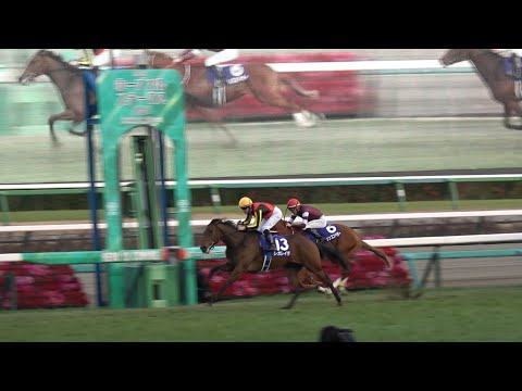 【ホープフルS 現地】牝馬レガレイラ×ルメール騎手 大外一気で快勝！【レース映像】