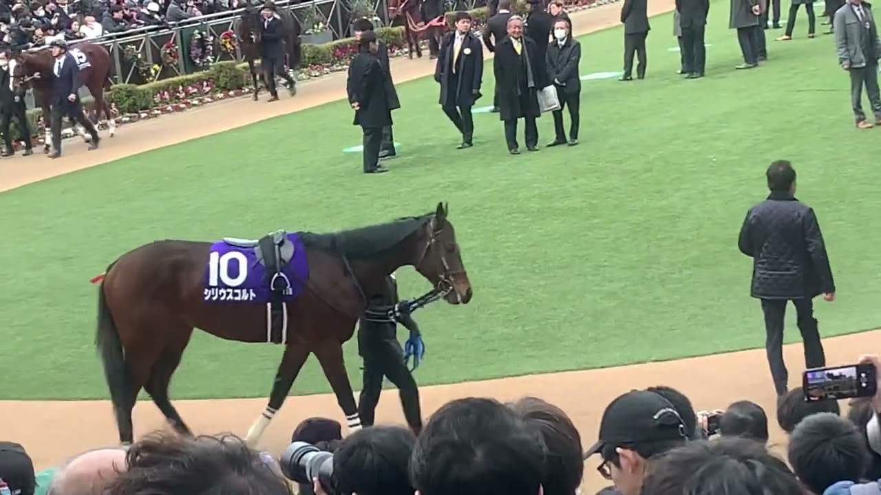 ホープフルステークス2023 パドック現地映像