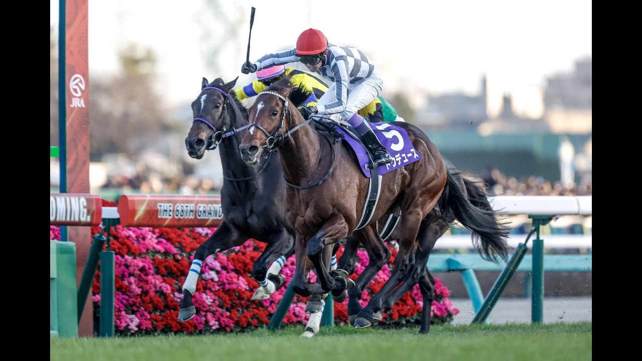 ホープフルステークス　最終テス