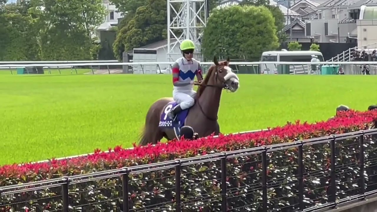 2024 ヴィクトリアマイル テンハッピーローズ 津村騎手 ウイニングラン