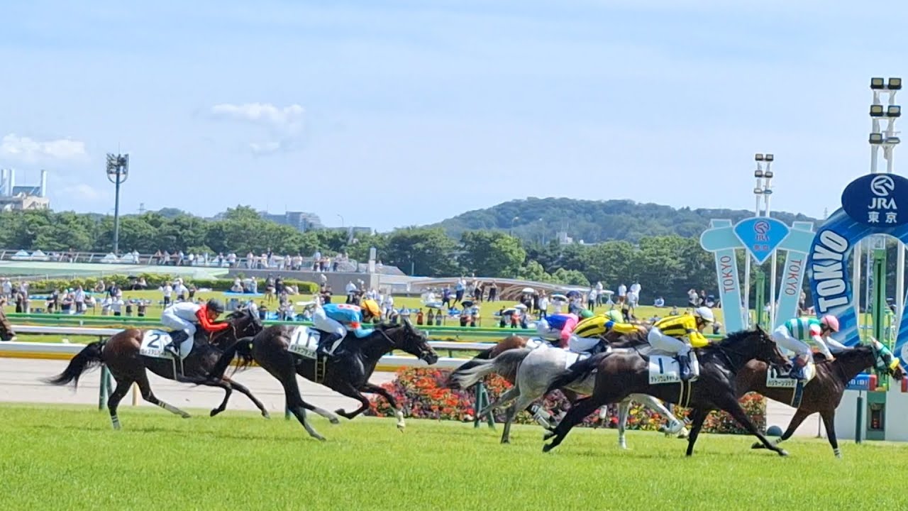 2024/6/8 東京7R 3歳以上1勝クラス 1着ハリケーンリッジ 2着アトリウムチャペル 3着ディナトセレーネ 5着ガルサブランカ