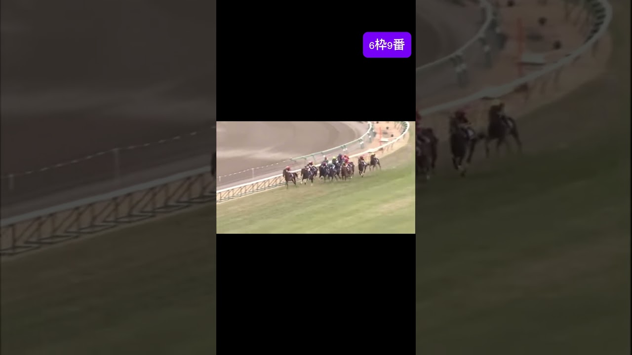 オルフェーブル　有馬記念　#有馬記念 #オルフェーブル #jra #競馬 #ウマ娘 #shorts
