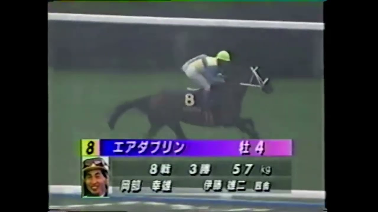 1994 菊花賞