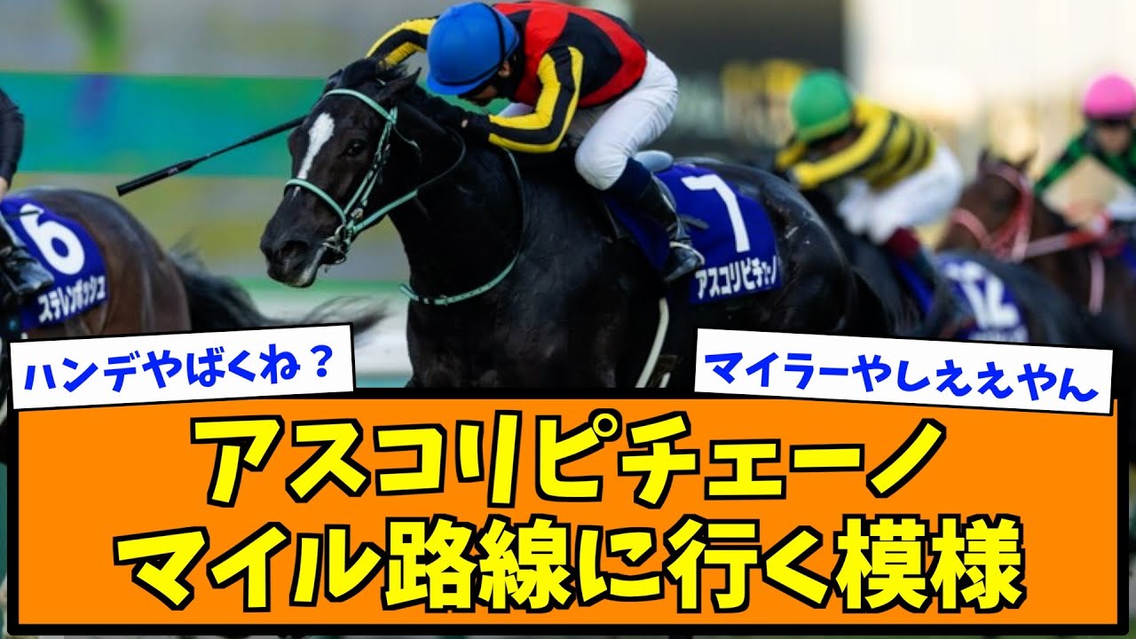 アスコリピチェーノマイル路線に行く模様