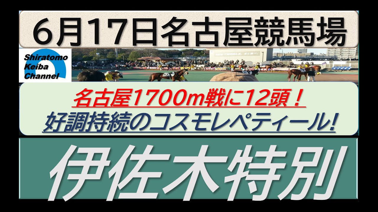 【競馬予想】伊佐木特別！～２０２４年６月１７日 名古屋競馬場 ：６－３４