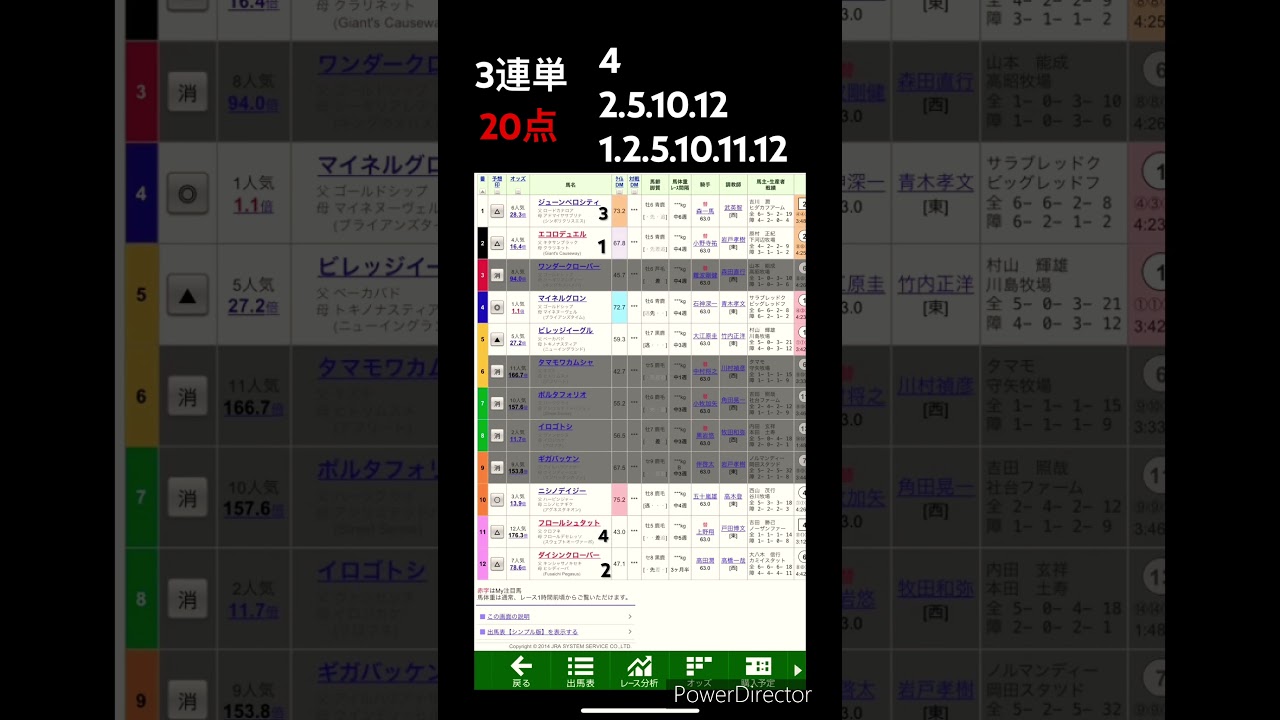 2024/4/13 中山11R 中山グランドジャンプ #競馬 #中山グランドジャンプ