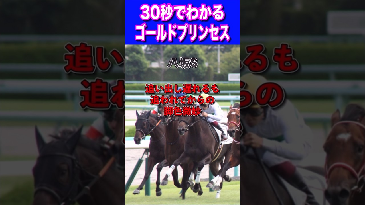 【天皇賞春2024】30秒でわかるゴールドプリンセス