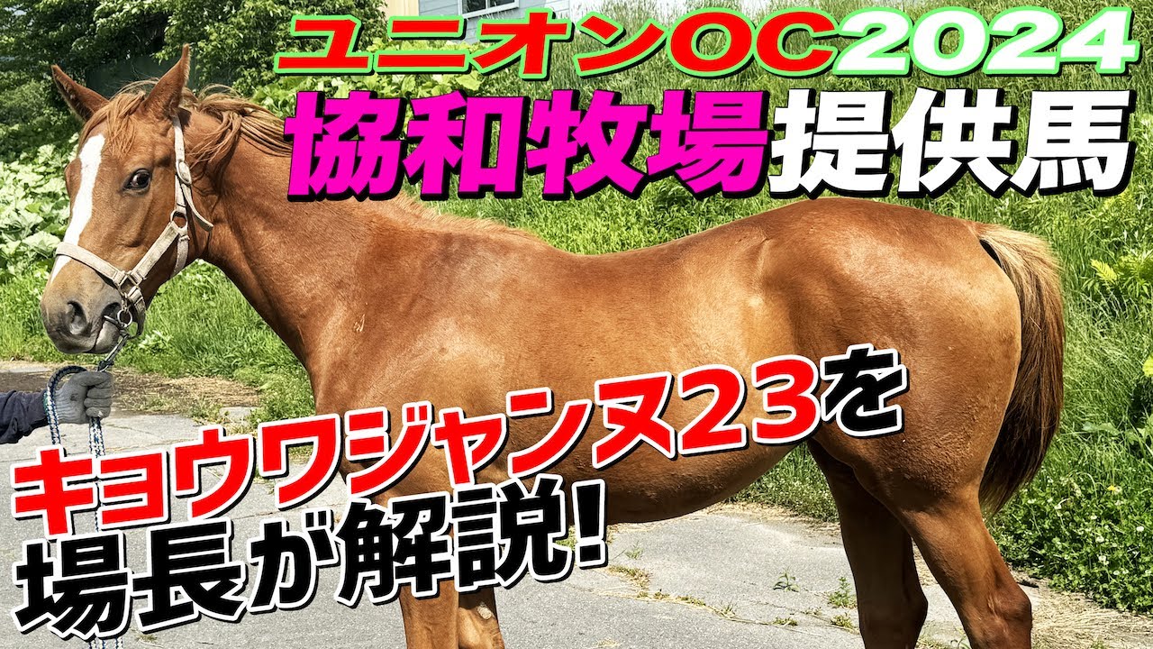 【協和牧場コラボ】ユニオンOC募集馬キョウワジャンヌ23場長解説！秋華賞2着馬に父ヘニーヒューズでダート路線席巻を狙う【節約大全】vol.1266