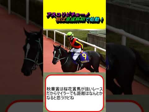 アスコリピチェーノ 秋は京成杯AHで始動！ #競馬 #競馬予想 #秋華賞 #マイルCS #レガレイラ #チェルヴィニア #ルメール #ローズS #ステレンボッシュ #戸崎圭太 #川田将雅 #富士S