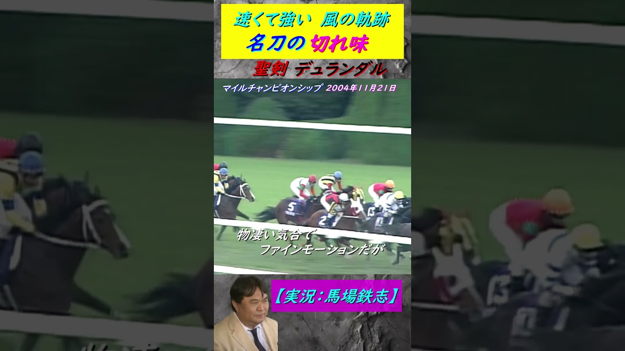 【馬場鉄志 名実況】マイルチャンピオンシップ2004