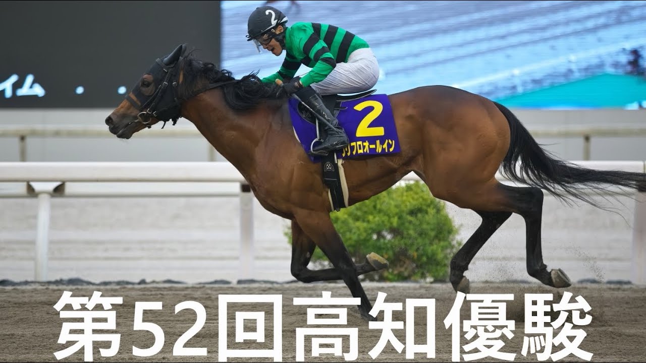 第52回高知優駿