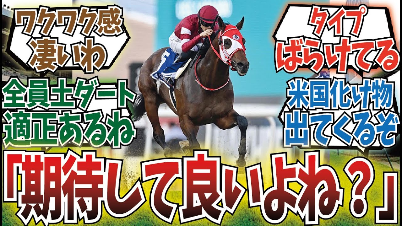 「今年のBCクラシック出走予定日本馬が過去最高メンバー」に対するみんなの反応集