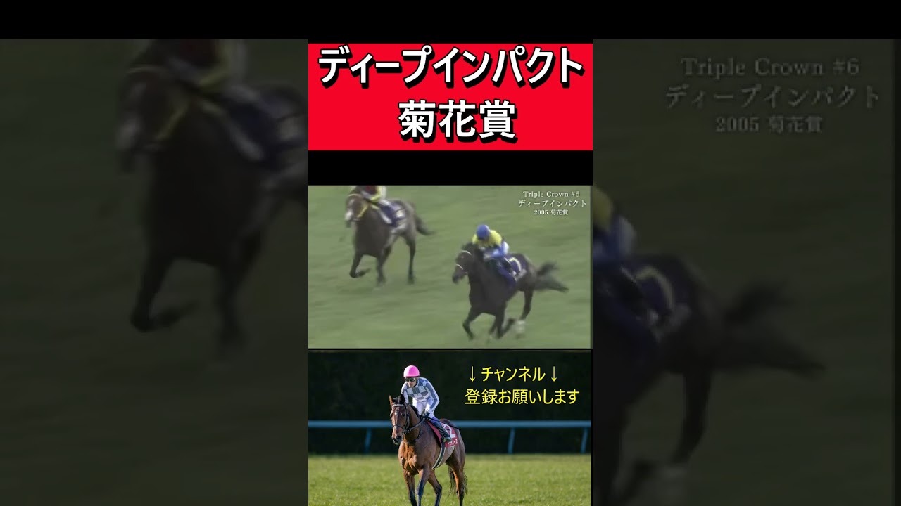 ディープインパクト【菊花賞】#shorts#競馬名実況#競馬名場面#名馬