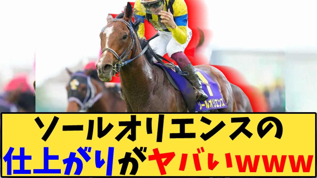 【競馬】「ソールオリエンス 雨予報で期待が高まる」に対する反応【反応集】
