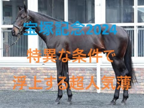 宝塚記念 2024 ルメールVSレーン ドウデュースが勝てない明確な理由