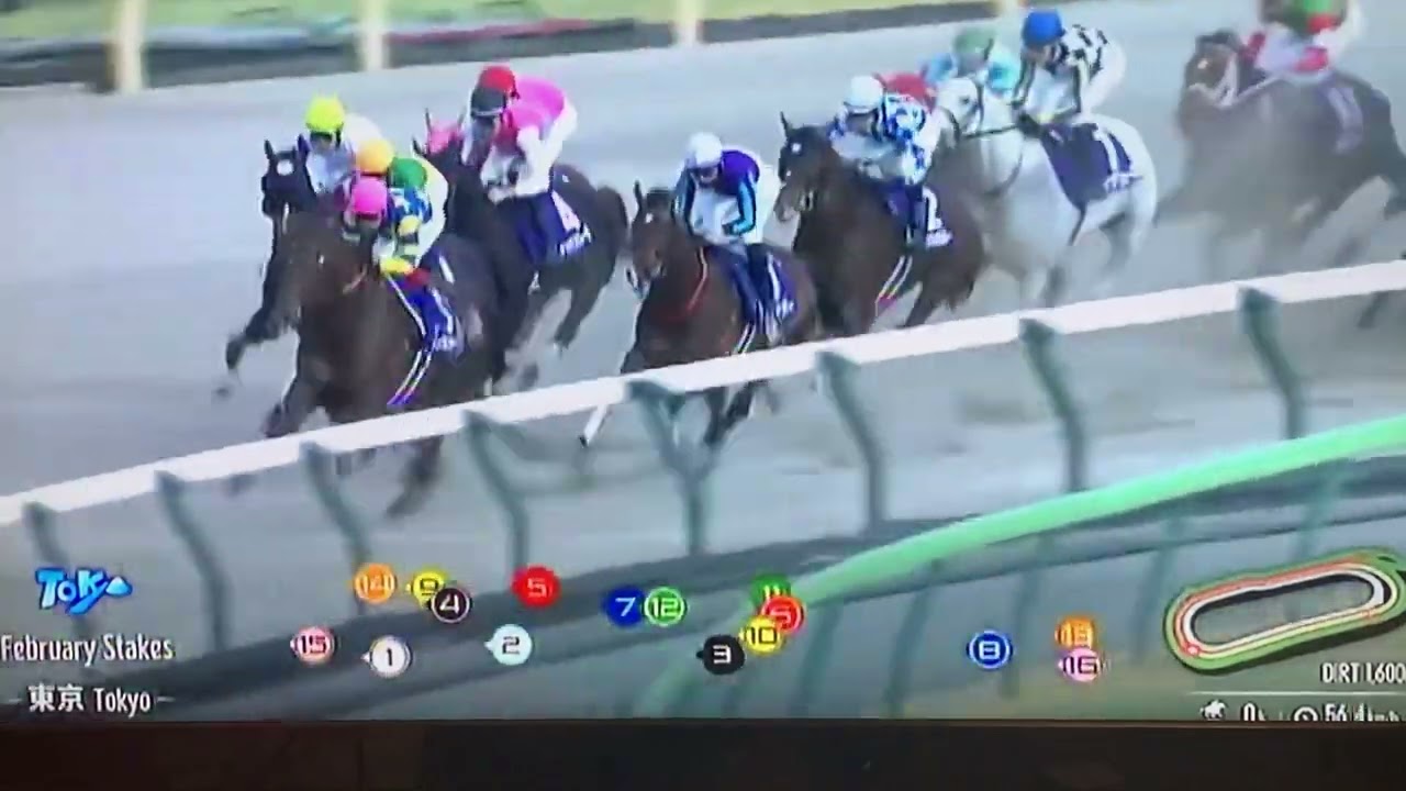 2024年　#フェブラリーステークス #ペプチドナイル　#ラジオ日本実況中継　#レース映像　#レースビデオ　　#藤岡佑介　#武豊　#ドウデュース　#宝塚記念#レースビデオ