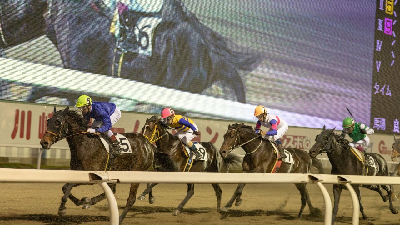 【競馬】第28回 さきたま杯　みんなで見よう