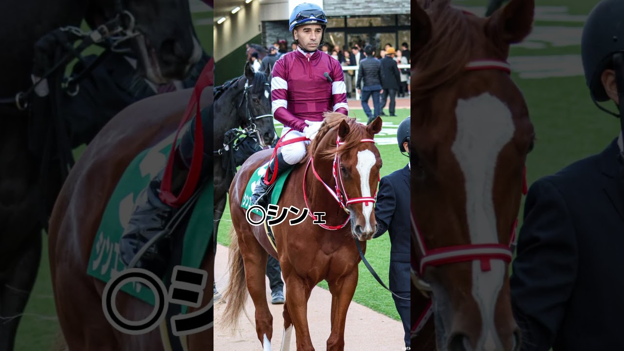 ホープフルステークス2023予想 #世界最速GI予想 #世界最速重賞予想 #競馬 #競馬予想 #重賞 #重賞予想 #gi #gi予想 #ホープフルステークス #ホープフルs