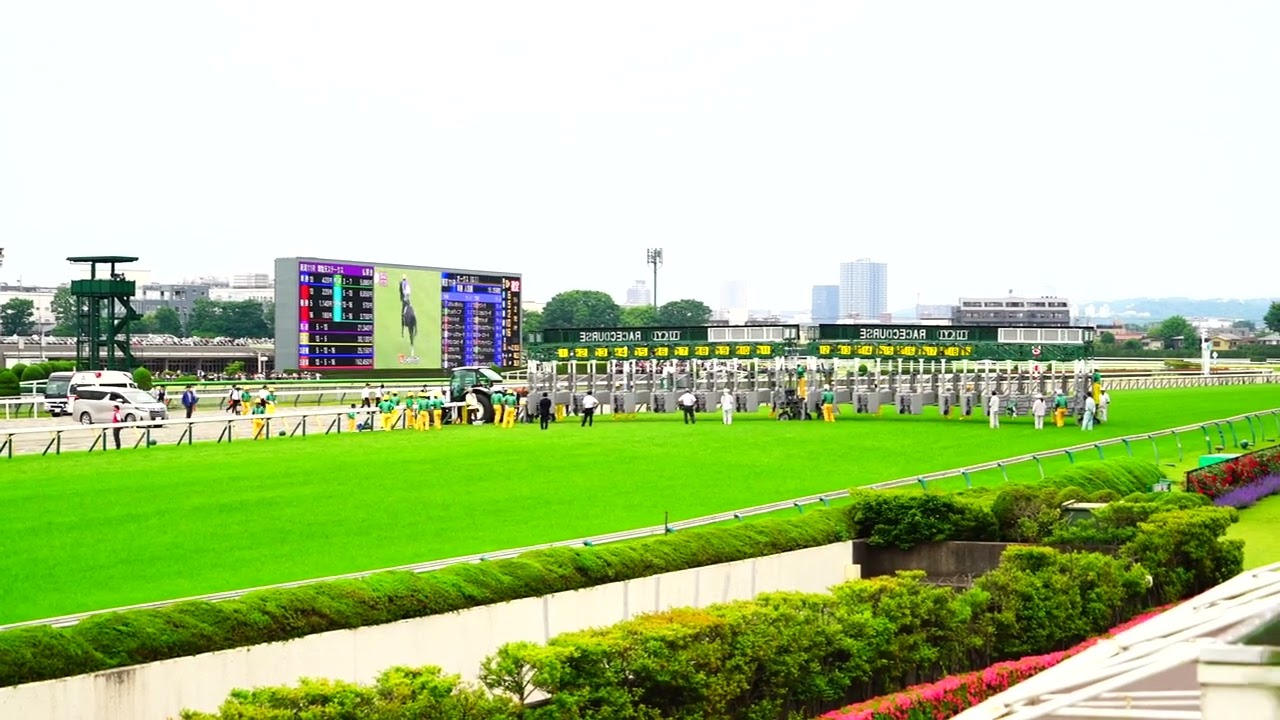 アコモさん G1　優駿牝馬　第85回 オークス