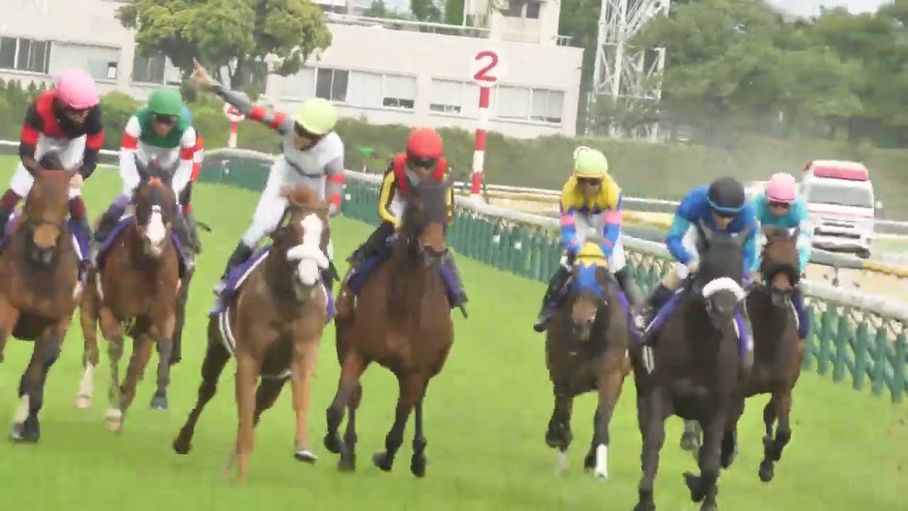 【武豊】ナミュール ヴィクトリアマイル 最後の直線 末脚不発！8着に敗れる 2024年5月12日