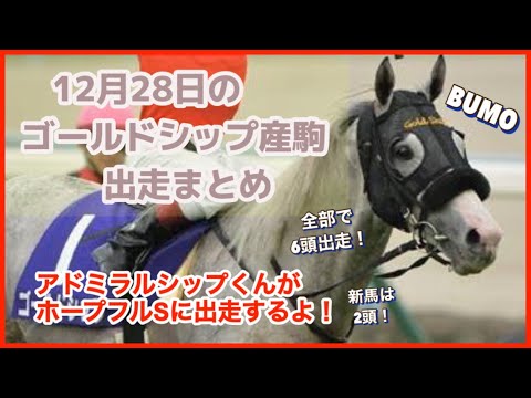 【ゴールドシップ】ホープフルステークスに期待のゴールドシップ産駒が出走！12月28日の出走情報