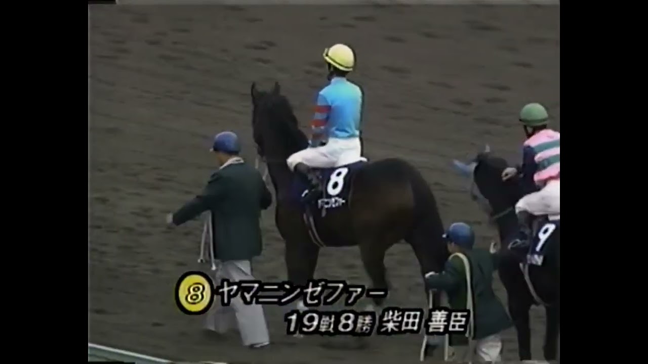 1993 スプリンターズステークス