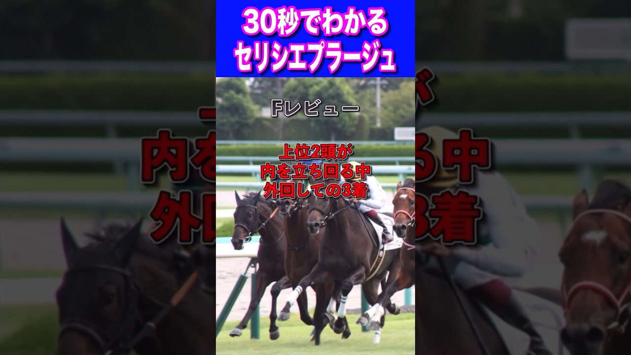 【桜花賞2024】30秒でわかるセシリエプラージュ