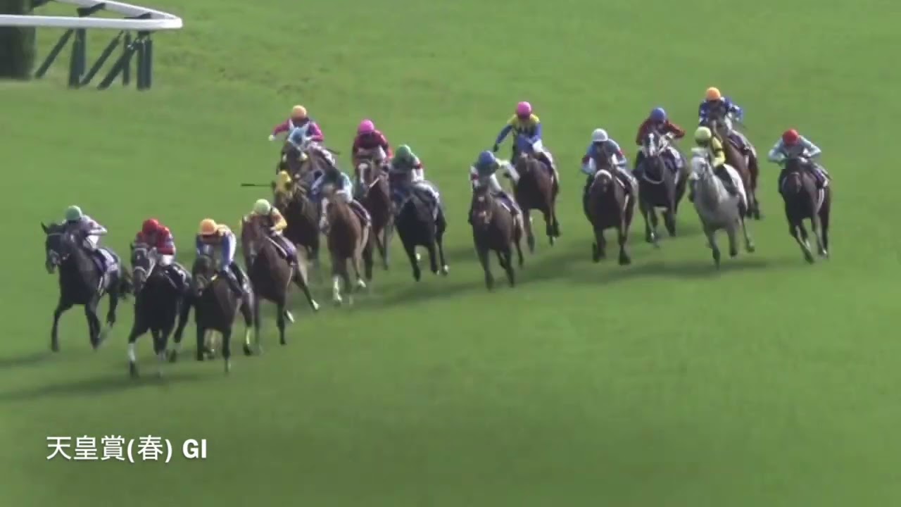 宝塚記念( GI) 参考レース集
