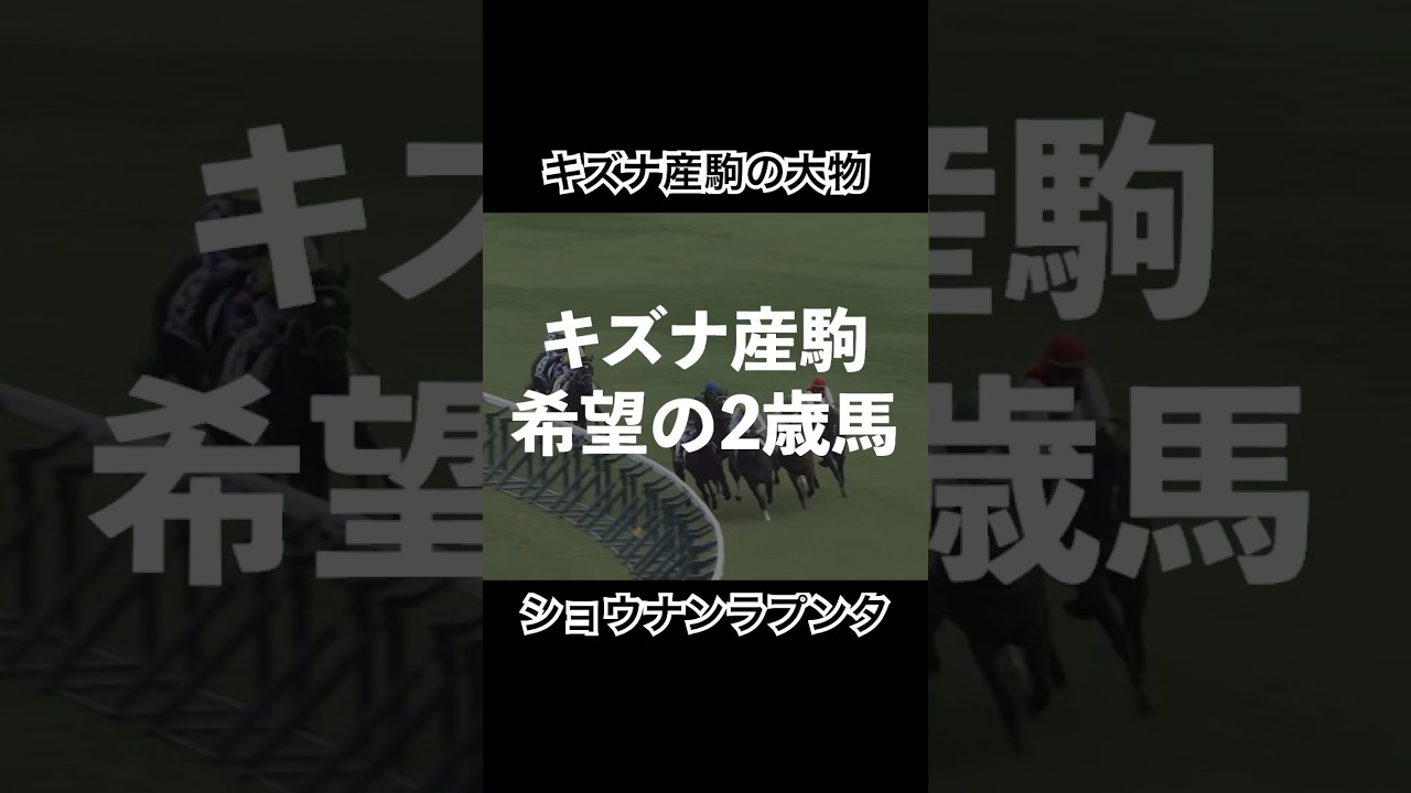 【ショウナンラプンタ】キズナ産駒の希望の大物馬#ホープフルステークス #競馬 #ホープフルs #キズナ