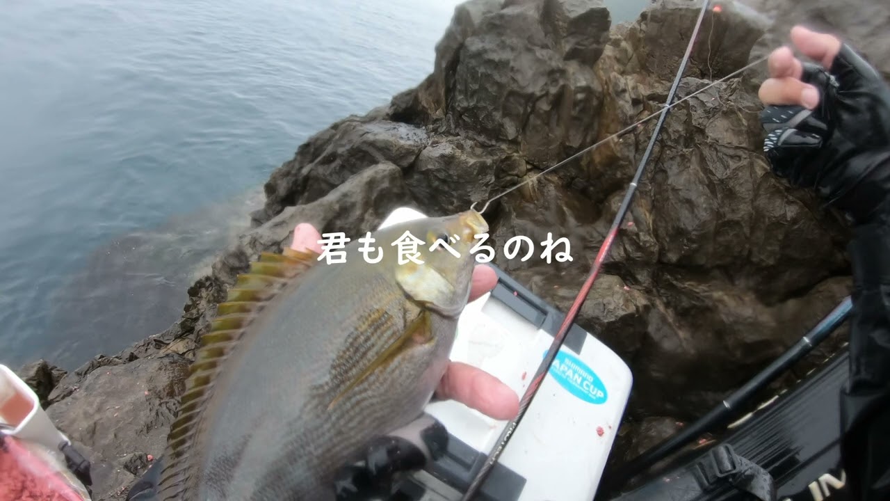 【修正】沖縄の人がグレ釣りにチャレンジすると……【沖磯編】