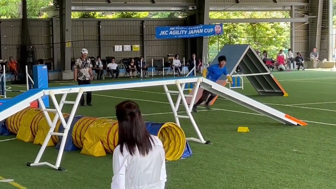 2024/06/16 JKCジャパンカップ6走目AG AMI