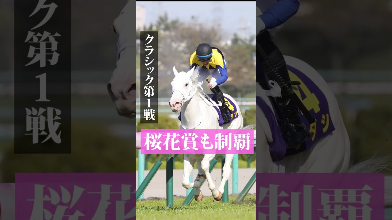 【１分で分かる名馬】ソダシ