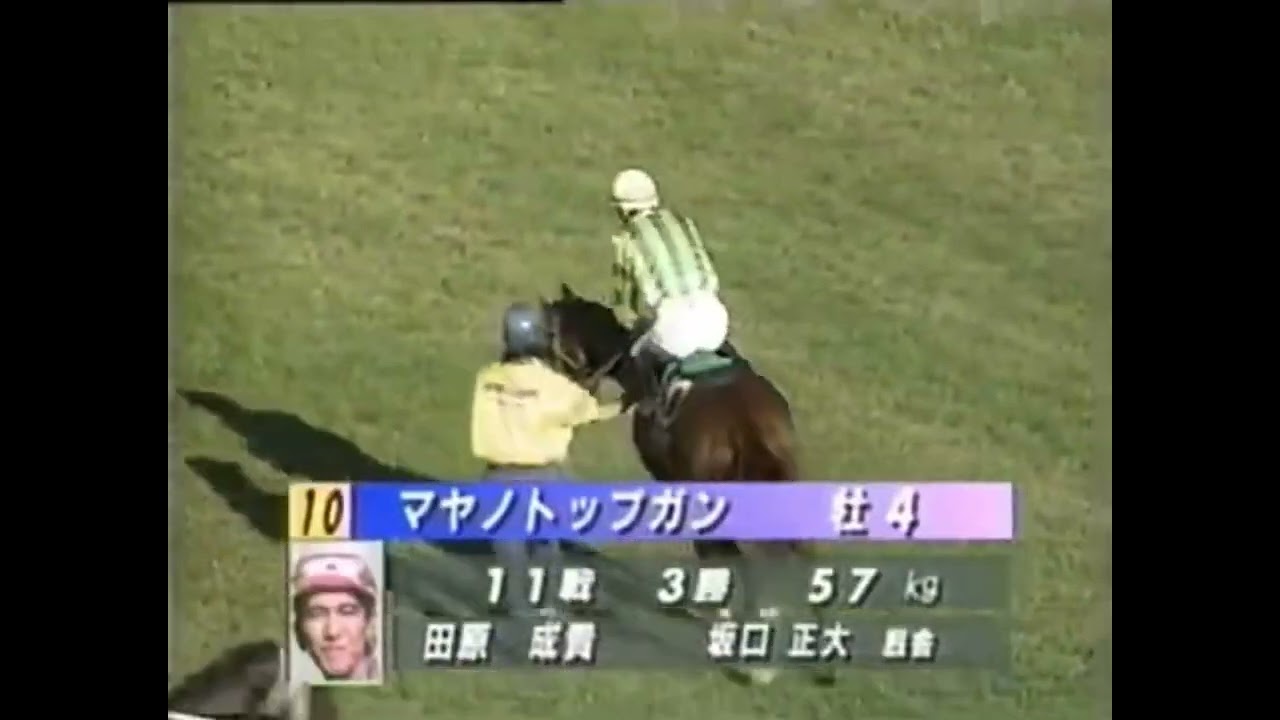 1995 菊花賞