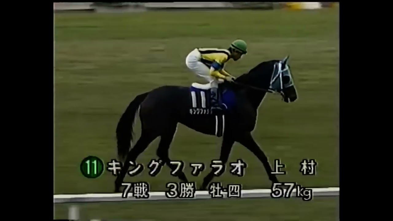 1993 菊花賞