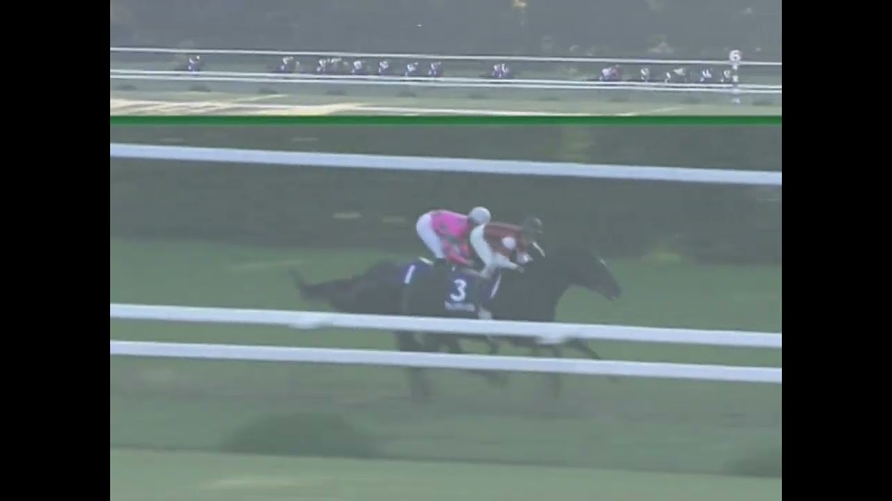 ラインクラフト 2005年 第22回マイルチャンピオンシップ(GI) (優勝馬：ハットトリック)