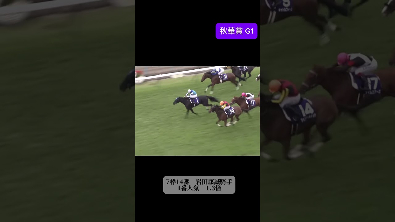 秋華賞 2012 ジェンティルドンナ　#jra #ウマ娘 #競馬 #shorts