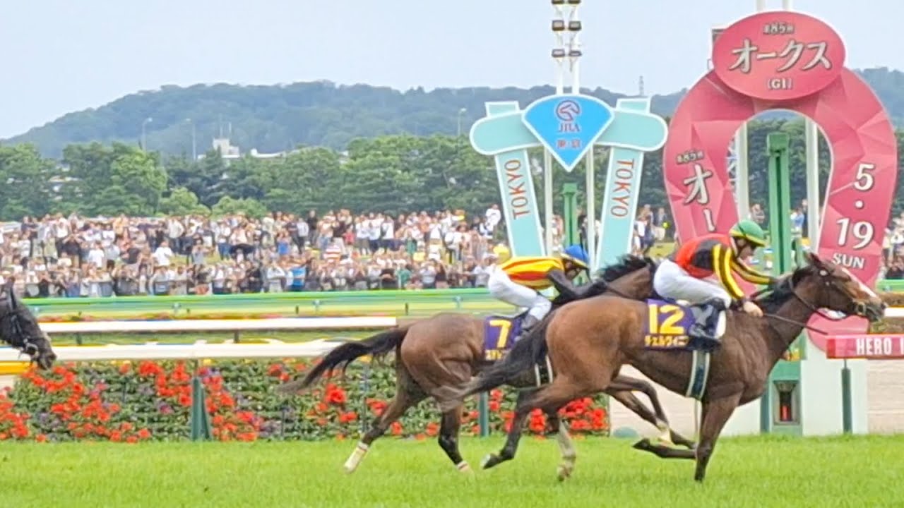 2024/5/19 東京競馬場 東京11R 優駿牝馬 オークス ゴール板前 1着チェルヴィニア 2着 ステレンボッシュ 3着ライトバック