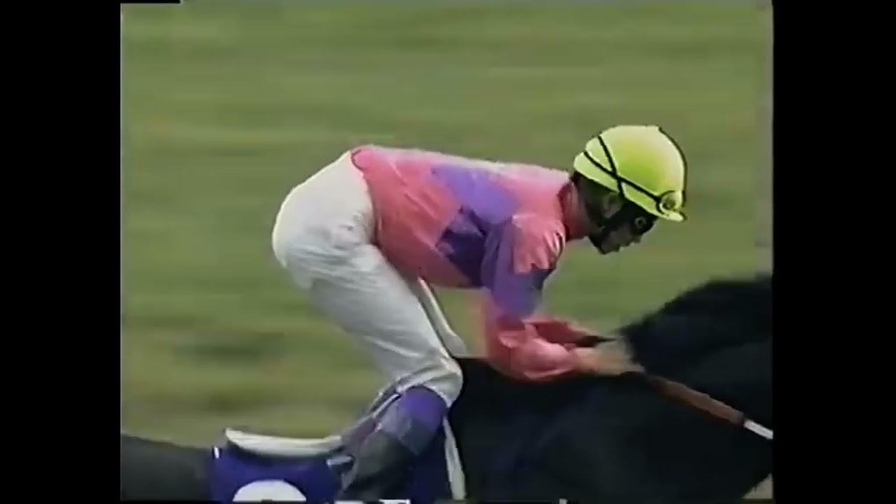 1993 天皇賞秋