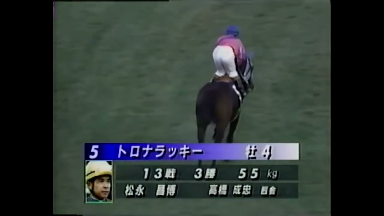 1994 マイルCS